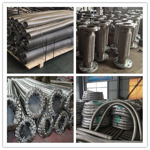 Stainless Steel Flange Connection Liquefied-Petroleum Gas Flexible Braided Metal Hose